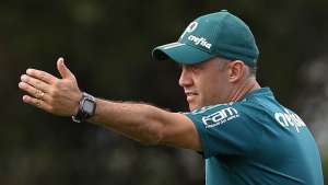 Técnico do Palmeiras diz ter apenas uma dúvida no time para pegar Novorizontino