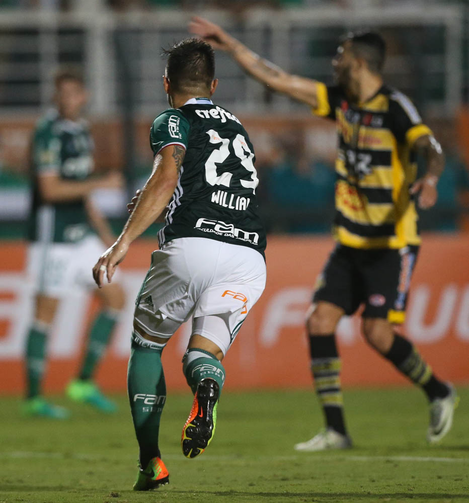 Palmeiras 3 x 0 Novorizontino - Melhor campanha e classificação. Pintou o campeão? 3 0002050235157 img