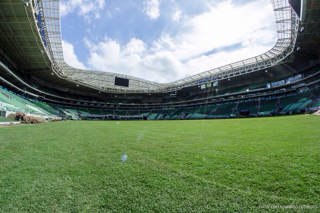 Com técnica da Olimpíada, Palmeiras joga no ‘supergramado’ contra o Peñarol