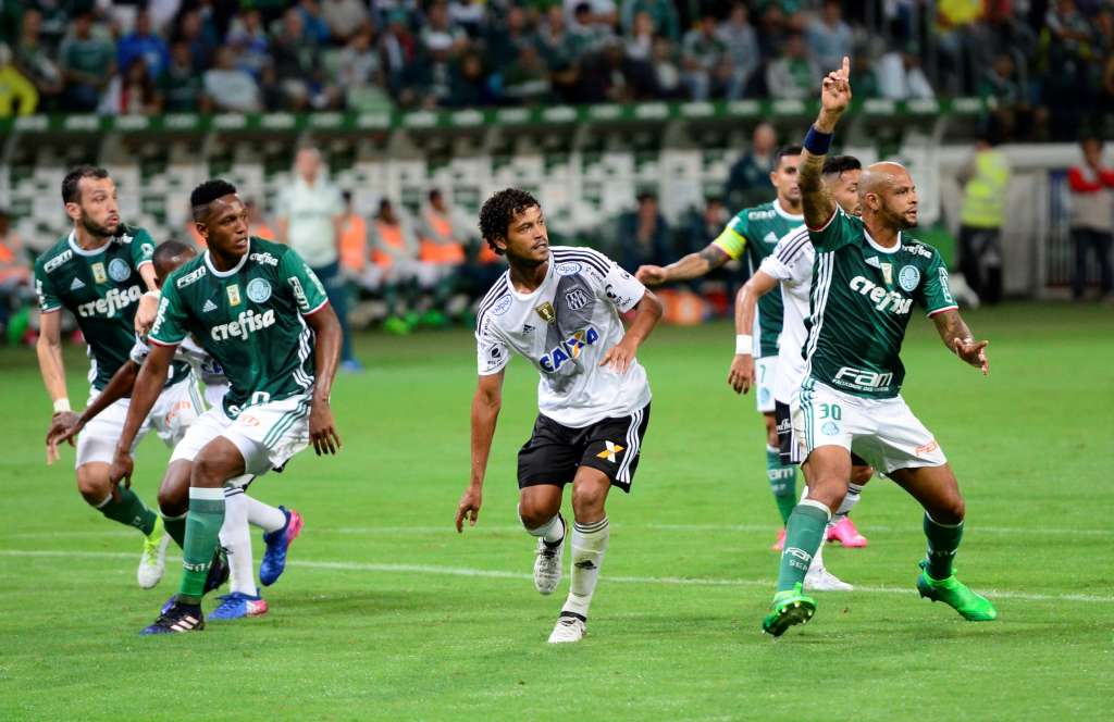 Ponte Preta segurou o Palmeiras (Renato Pereira)