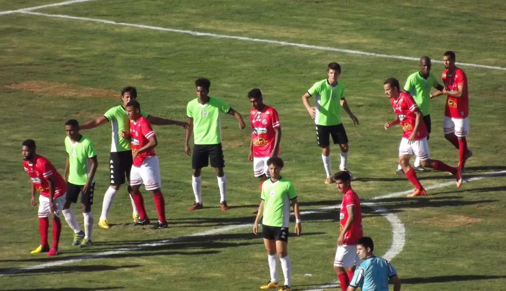 (Foto: José Paulo Necchi Oliveira)