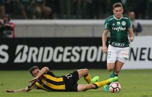 Libertadores: Vitória sem 'sufoco' contra Atlético Tucumán é meta do Palmeiras