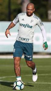 Felipe Melo volta aos treinamentos no Palmeiras após seguidas lesões