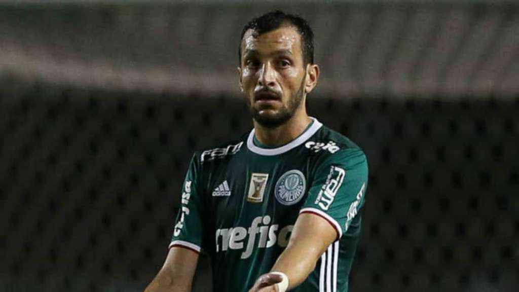 Dracena diz que falta de tempo para treinar atrapalha o Palmeiras 2 0002050253737 img