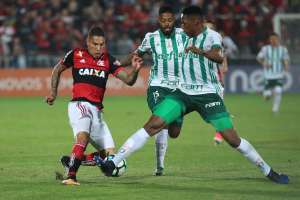 BRASILEIRÃO: Grêmio diminui diferença pro Corinthians; Ponte e SP se recuperam