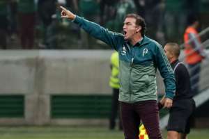 Pressionado, Palmeiras só pensa na vitória sobre o Avaí neste sábado