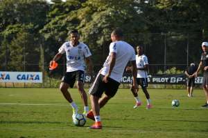 Vitória x Ponte Preta - Leão por reabilitação contra Macaca descansada