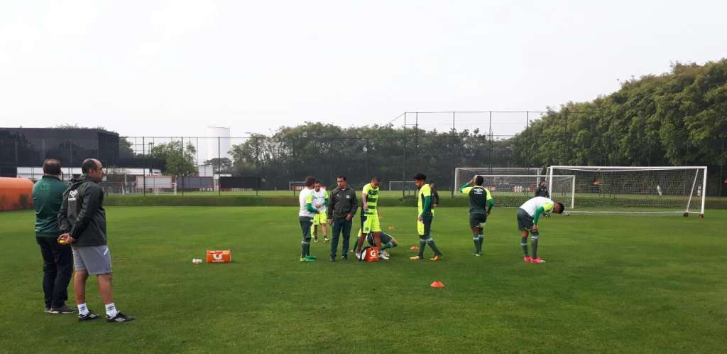 Chapecoense está pronta para encarar o Palmeiras
