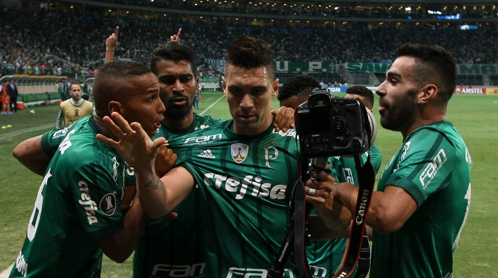 Palmeiras quer voltar a vencer no Brasileirão