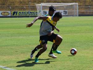 Paulista Sub 15 e 17: Fora de casa, base do Novorizontino tem desafios dificeis