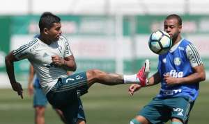 Palmeiras x Atlético-MG - Elencos estrelados abrem a 23ª rodada