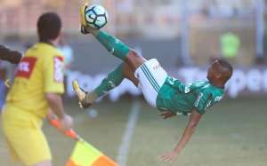 No Pacaembu, Palmeiras tenta consolidar arrancada contra o Coritiba