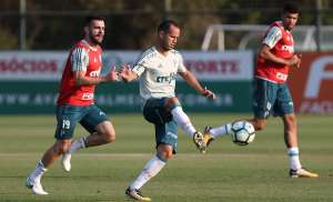 Palmeiras fica perto de esvaziar o departamento médico do clube