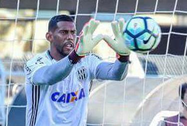 Aranha passa por período de recondicionamento