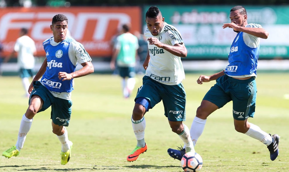 Valentim comanda treino com volta de colombianos no Palmeiras
