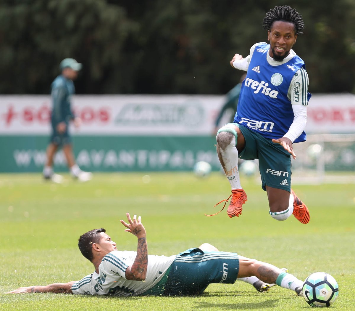 Zé Roberto treina no Palmeiras e deve ser titular em despedida da arena alviverde