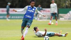 Zé Roberto encerra suspense e confirma aposentadoria no Palmeiras