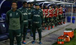 Palmeiras x Botafogo - Verdão quer o vice e Fogão um lugar na Libertadores