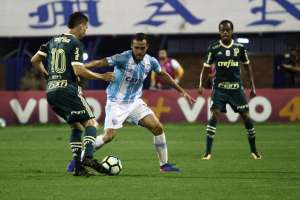 Palmeiras enfrenta Botafogo em jogo para marcar despedida de Zé Roberto