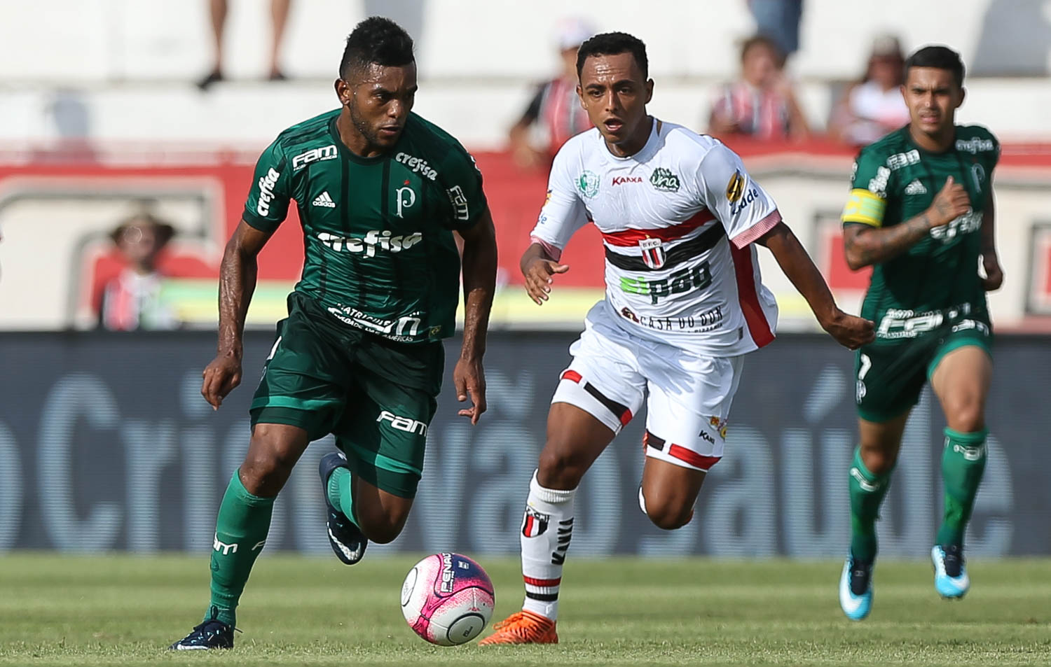 Botafogo x Novorizontino – Pressionado, Panterna joga em casa pra vencer