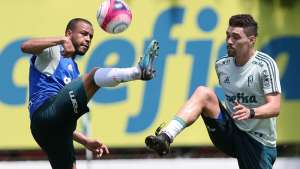 Palmeiras x Red Bull Brasil - Diante do Toro, Porco tenta continuar 100% no Paulistão