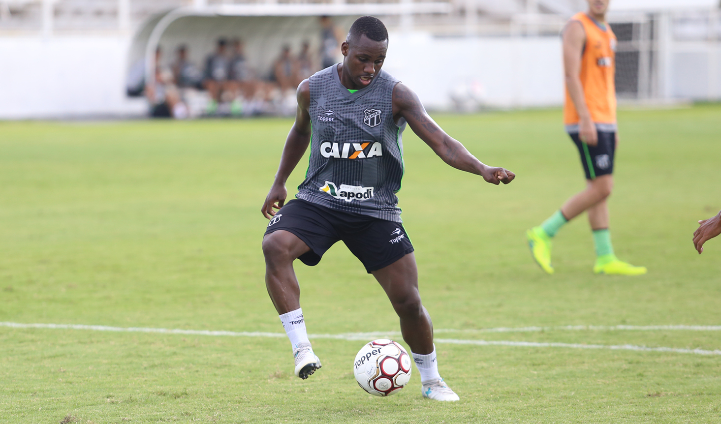 Paulistão: Botafogo contrata atacante Cafu, ex-Flamengo e Ceará