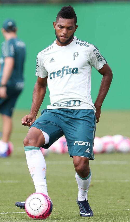 Borja vem ganhando oportunidades com treinador Roger Machado e deve ser novamente titular neste domingo (Foto: Palmeiras)