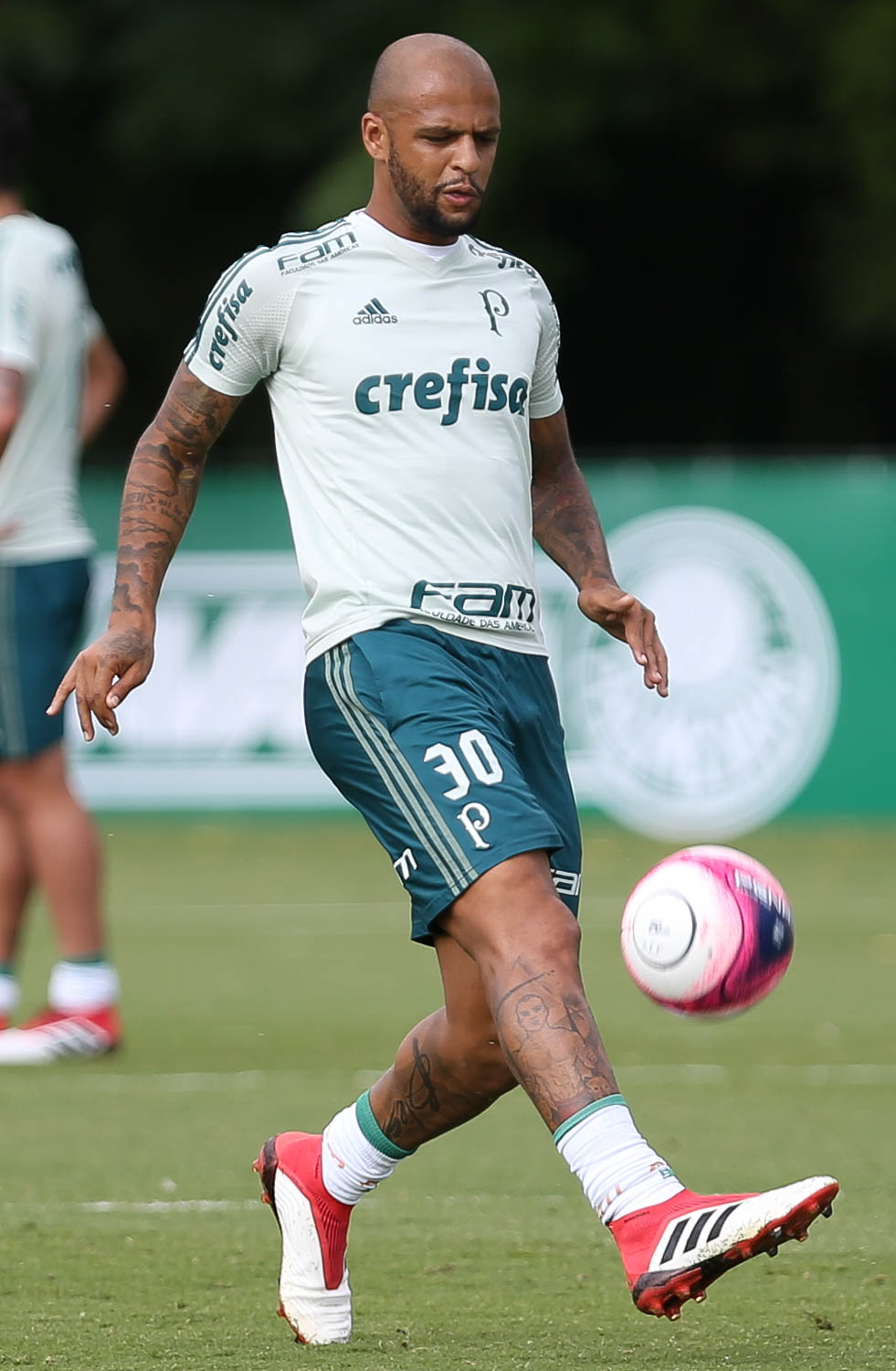 Paulistão: Roger repete time e Palmeiras não deve ter mudanças para o clássico