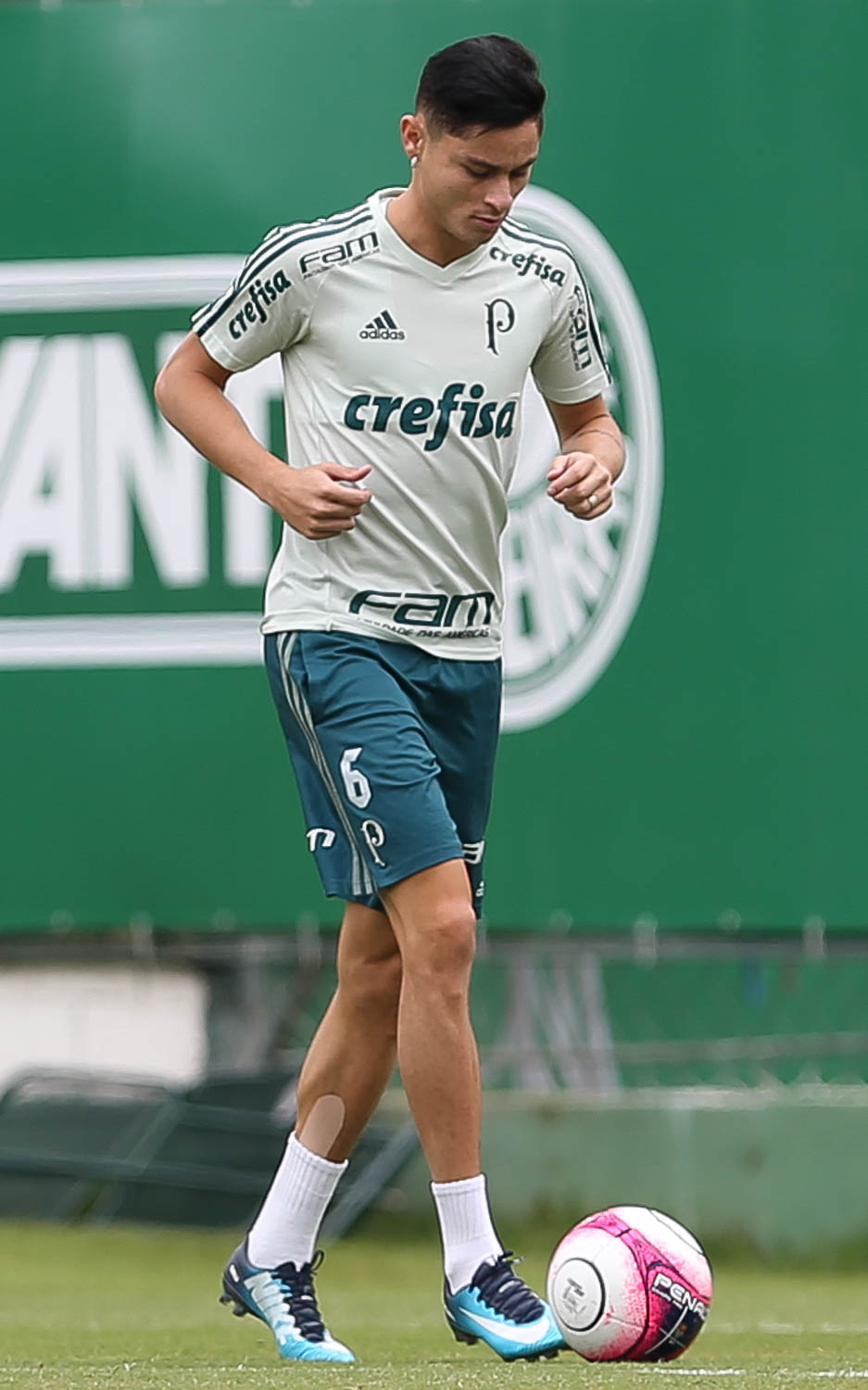 Paulistão: Diogo Barbosa treina no campo e se aproxima de estreia no Palmeiras