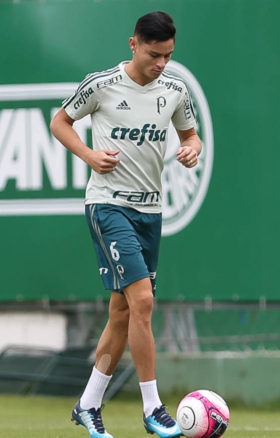 Diogo Barbosa treinou com bola nesta terça-feira, junto ao elenco do Palmeiras (Foto: Palmeiras)