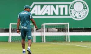 Roger prepara testes no Palmeiras e quer avaliar Guerra e atacante que estava no Londrina