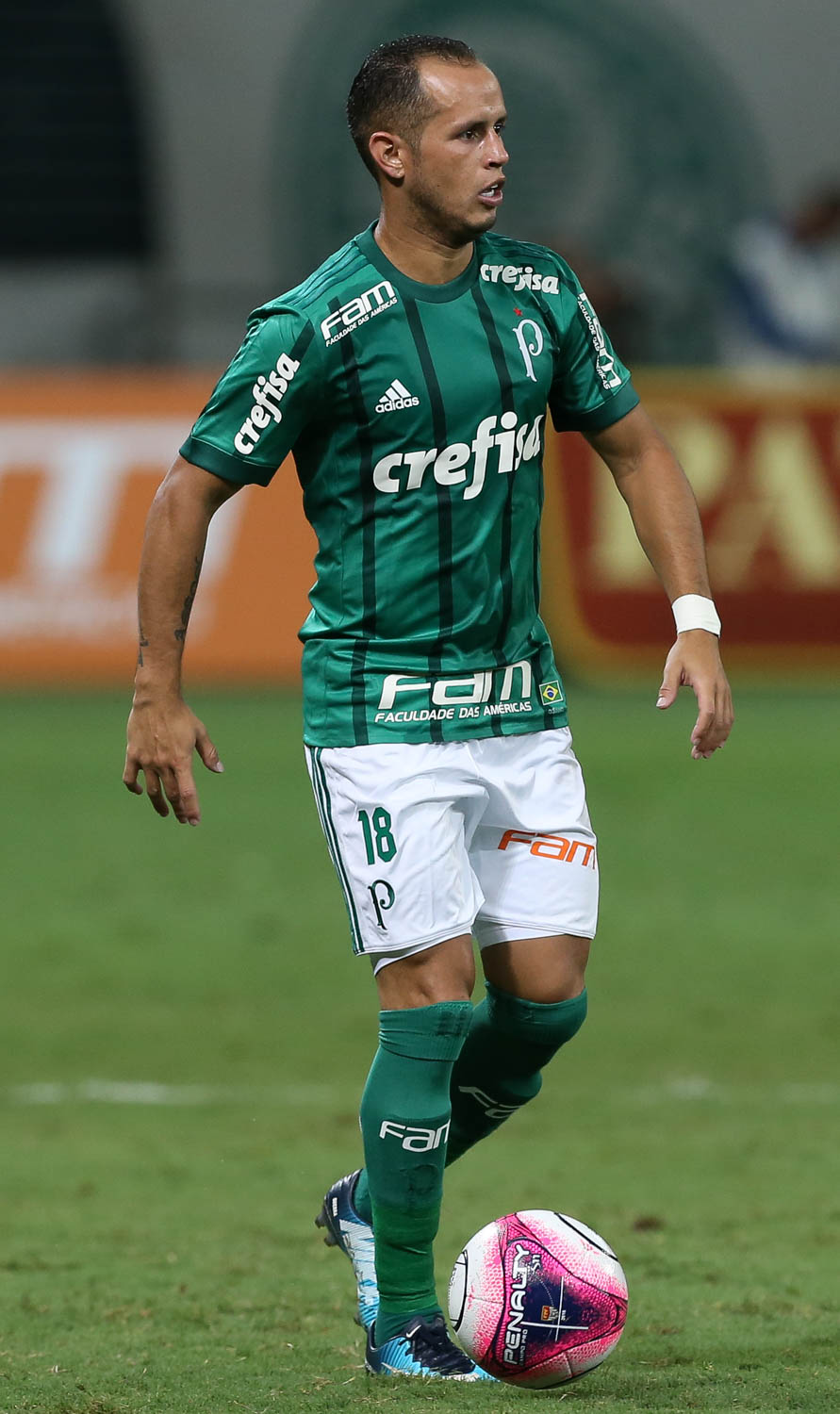 Palmeiras deve trocar de fornecedor de material esportivo em 2019