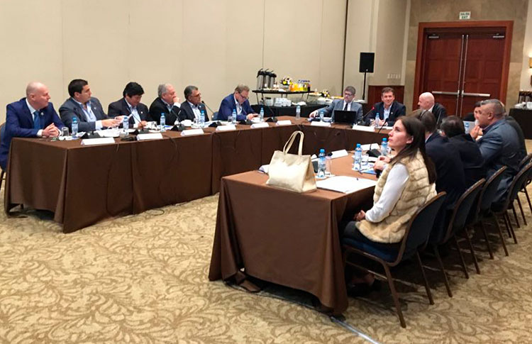 Conmebol anuncia eleições para 11 de maio e pede que Domínguez se candidate