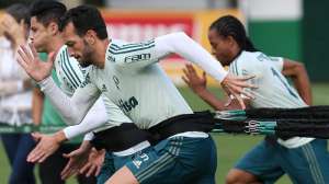 Edu Dracena e Diogo Barbosa se aproximam de retorno ao Palmeiras