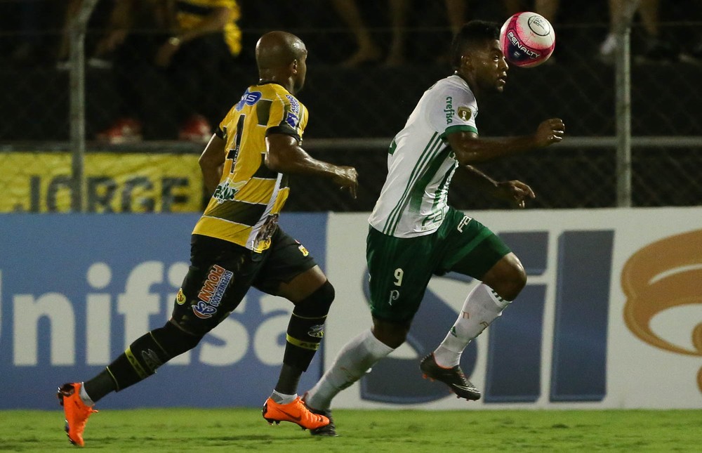 O zagueiro Anderson Salles chamou o atacante palmeirense Borja de 