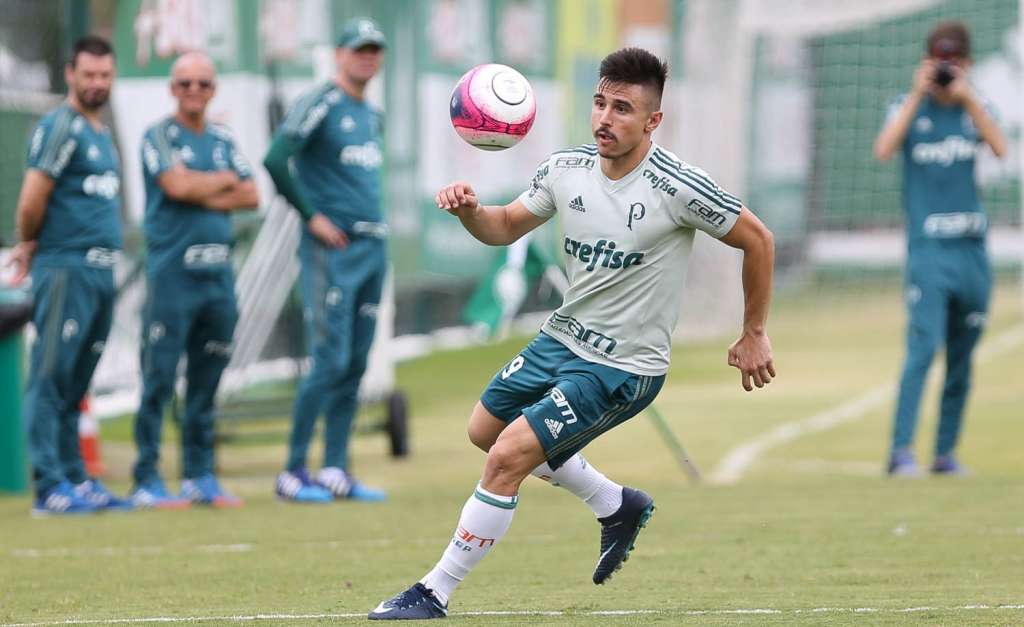 Foto: Cesar Greco / Ag Palmeiras