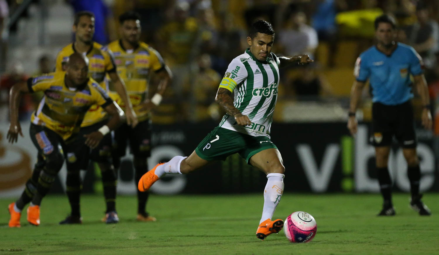 Palmeiras x Novorizontino – A zebra irá desfilar no Allianz Parque?