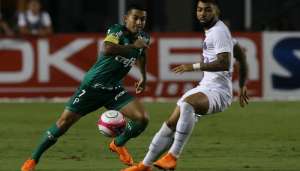 Palmeiras x Santos - Verdão se apoia em pequena vantagem para chegar à final