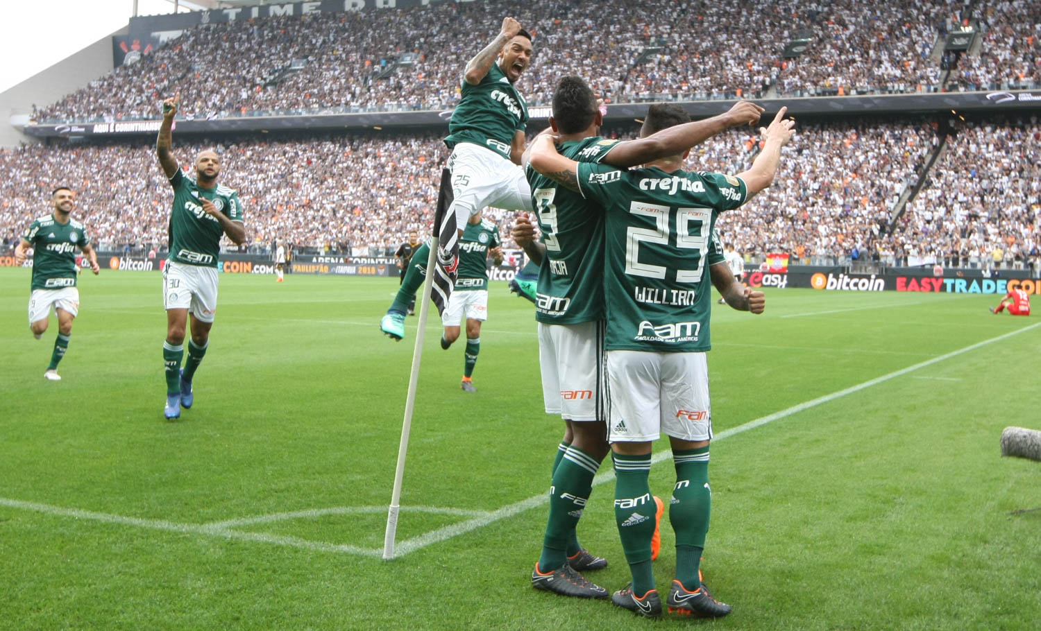 Palmeiras joga contra o Botafogo no Rio disposto a esquecer tropeços