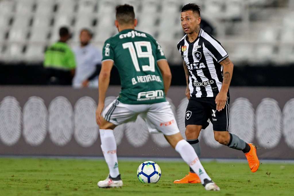 Botafogo busca empate contra o Palmeiras após sair perdendo