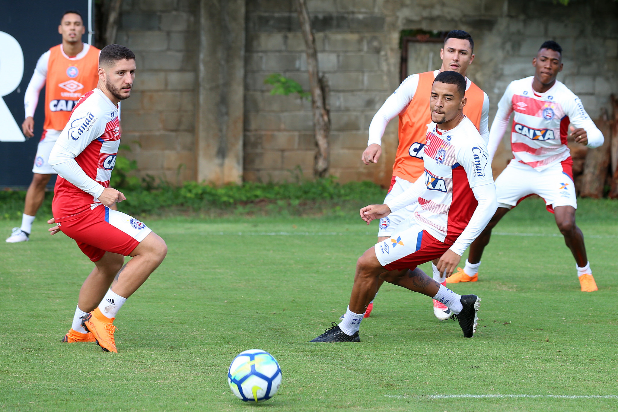 Com volta de Lucas Fonseca, Bahia joga para se reabilitar no Brasileirão