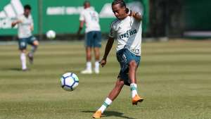 Palmeiras se inspira na Libertadores para bater a Chapecoense neste domingo