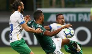 Não existe almoço, nem jantar de graça. O Palmeiras que se cuide: lulu de madame late