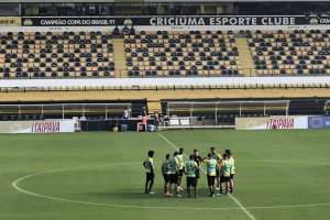 Criciúma x CSA - É vencer ou vencer, Tigre!