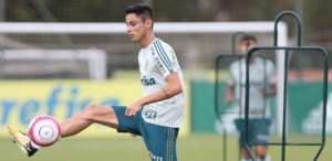 Diogo Barbosa diz que Palmeiras tem elenco para suportar 'maratona' de jogos