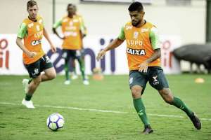 América-MG x Botafogo - Briga pela Libertadores ou contra o rebaixamento?