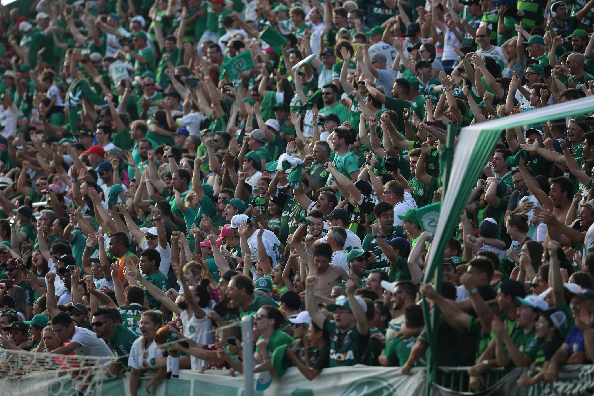 Chapecoense x Cruzeiro – Reabilitação contra a Raposa, Chape?