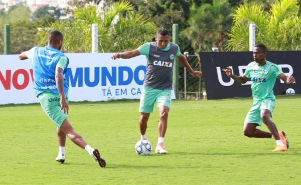 Série B: Londrina e Goiás jogam no Estádio do Café precisando desempatar retrospecto