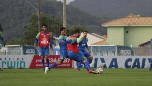 Avaí x Guarani - Leão quer embalar 3 vitórias para colar no líder e Bugre tenta reagir