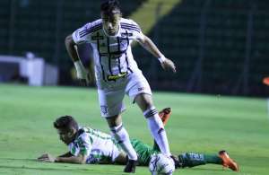 Série B: Guilherme Lazaroni recebe proposta e fica perto de deixar o Figueirense